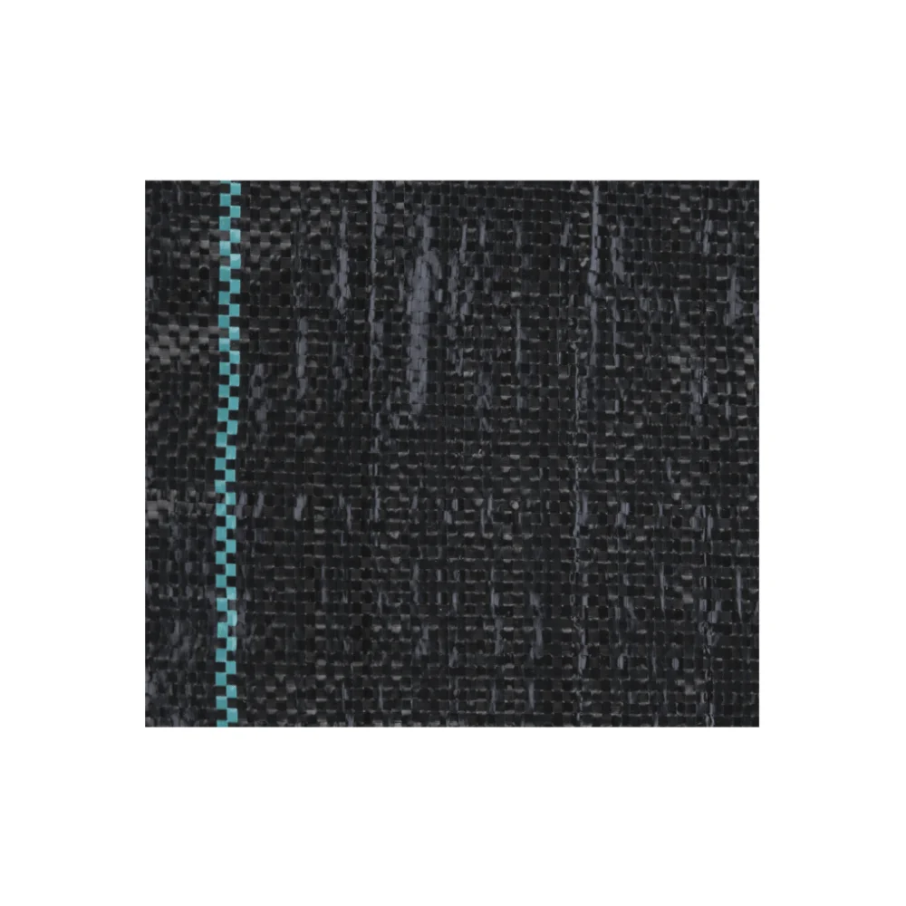 Plasa Agrotextil Anti-Buruieni HG L[m]: 100; l[m]: 1; C: Negru