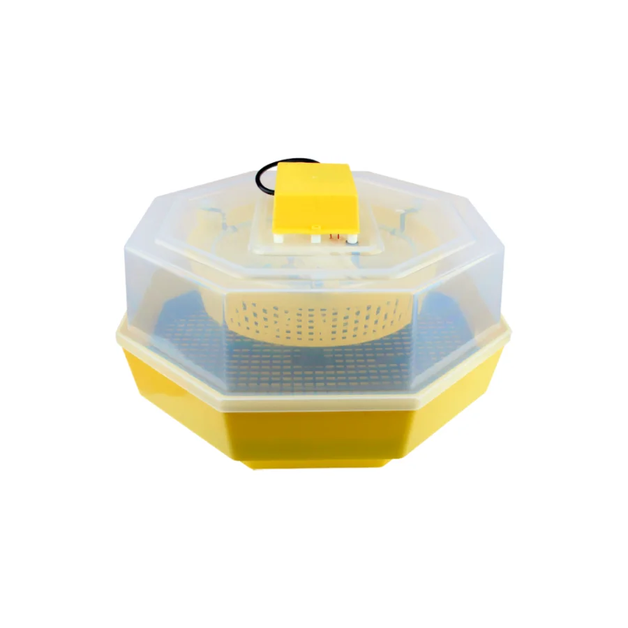Incubator Electric Cleo 5