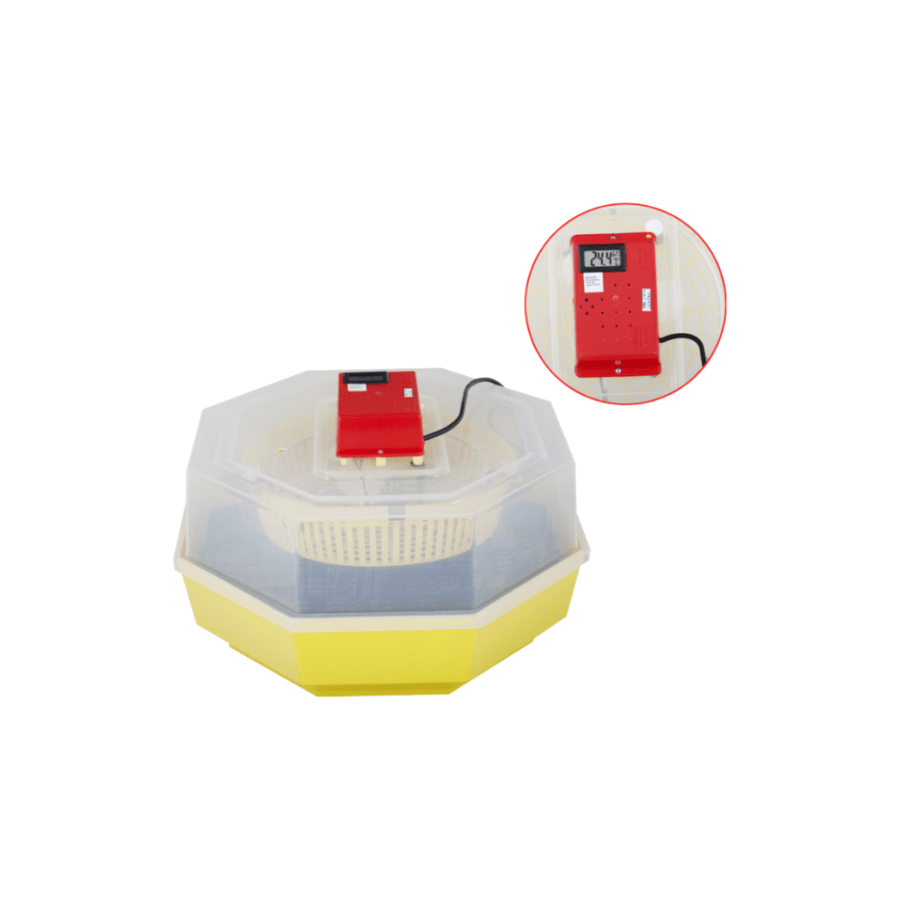 Incubator Electric Cleo-5 cu Termohigrometru