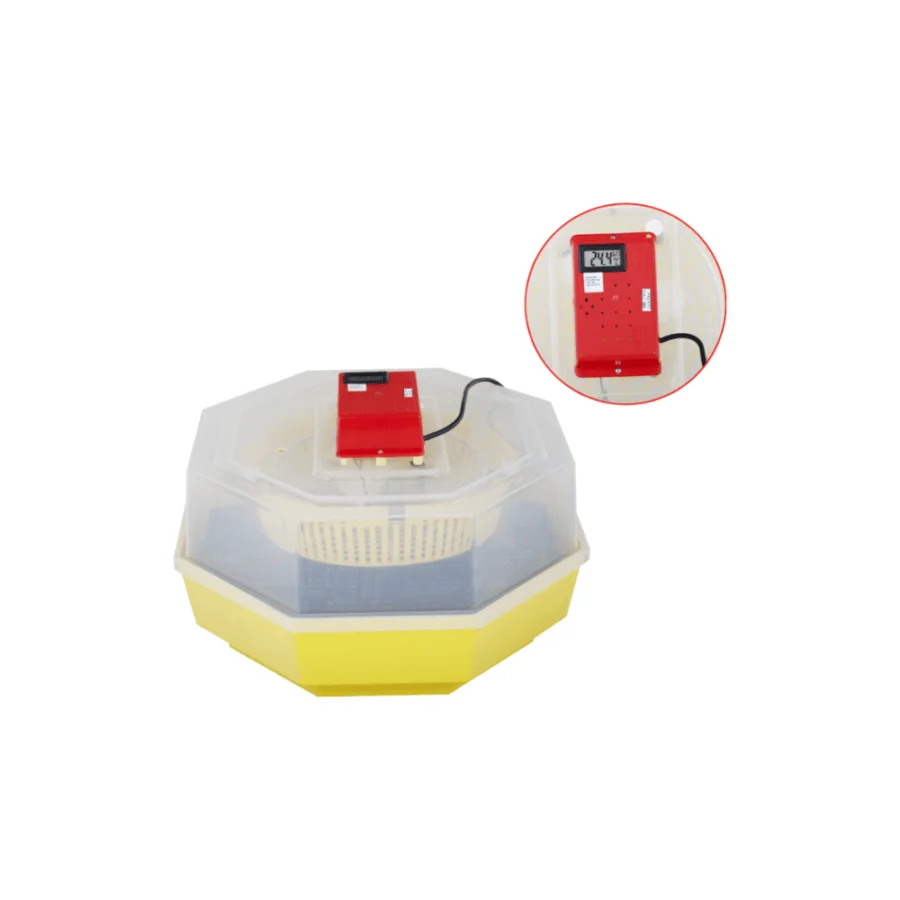 Incubator Electric Cleo-5 cu Termohigrometru