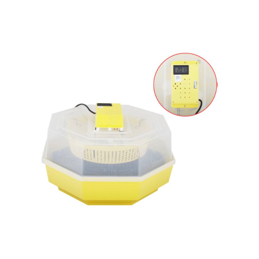 Incubator Electric Cleo-5 cu Termohigrometru si Dispozitiv Intoarcere Oua