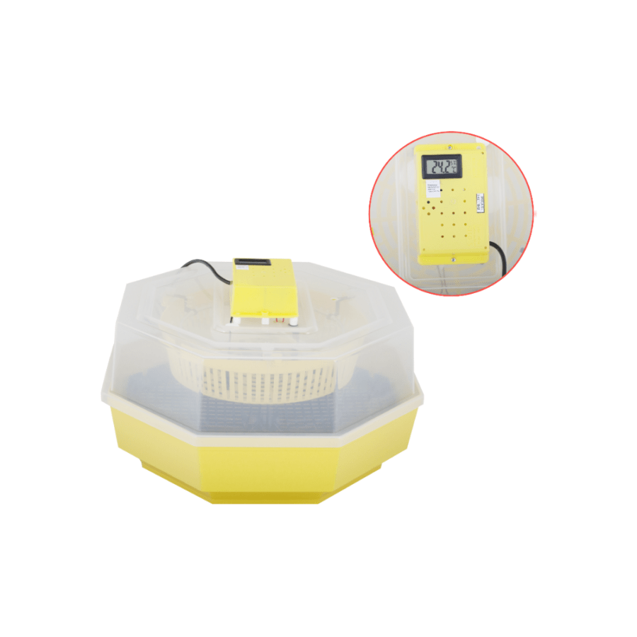 Incubator Electric Cleo-5 cu Termometru