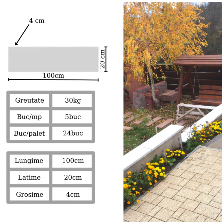 Pavaj beton armat 100x20x4cm