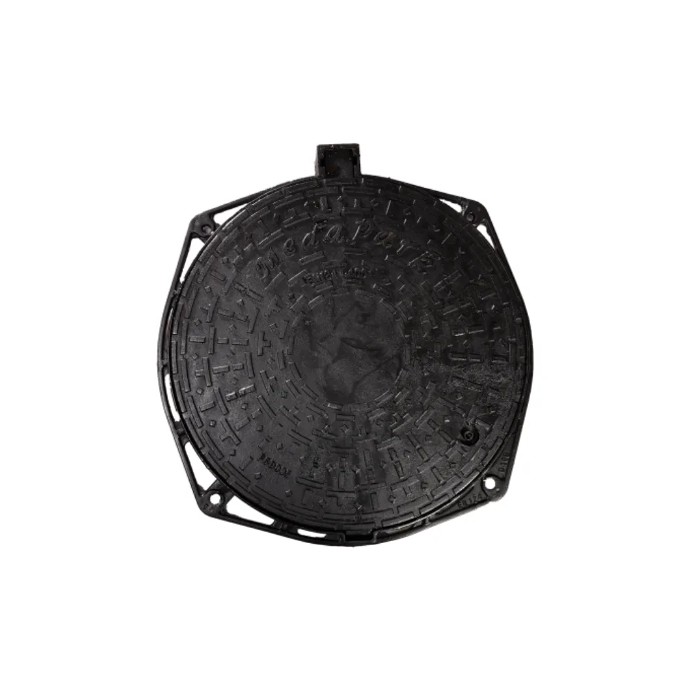 Capac de acces – 2025-03-05T110958.303