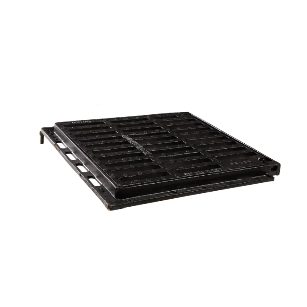 Capac de acces – 2025-03-05T114936.306