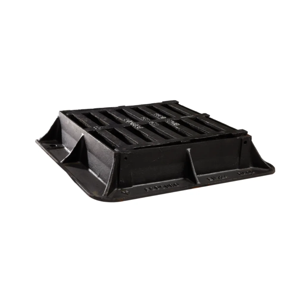 Capac de acces – 2025-03-05T115245.281