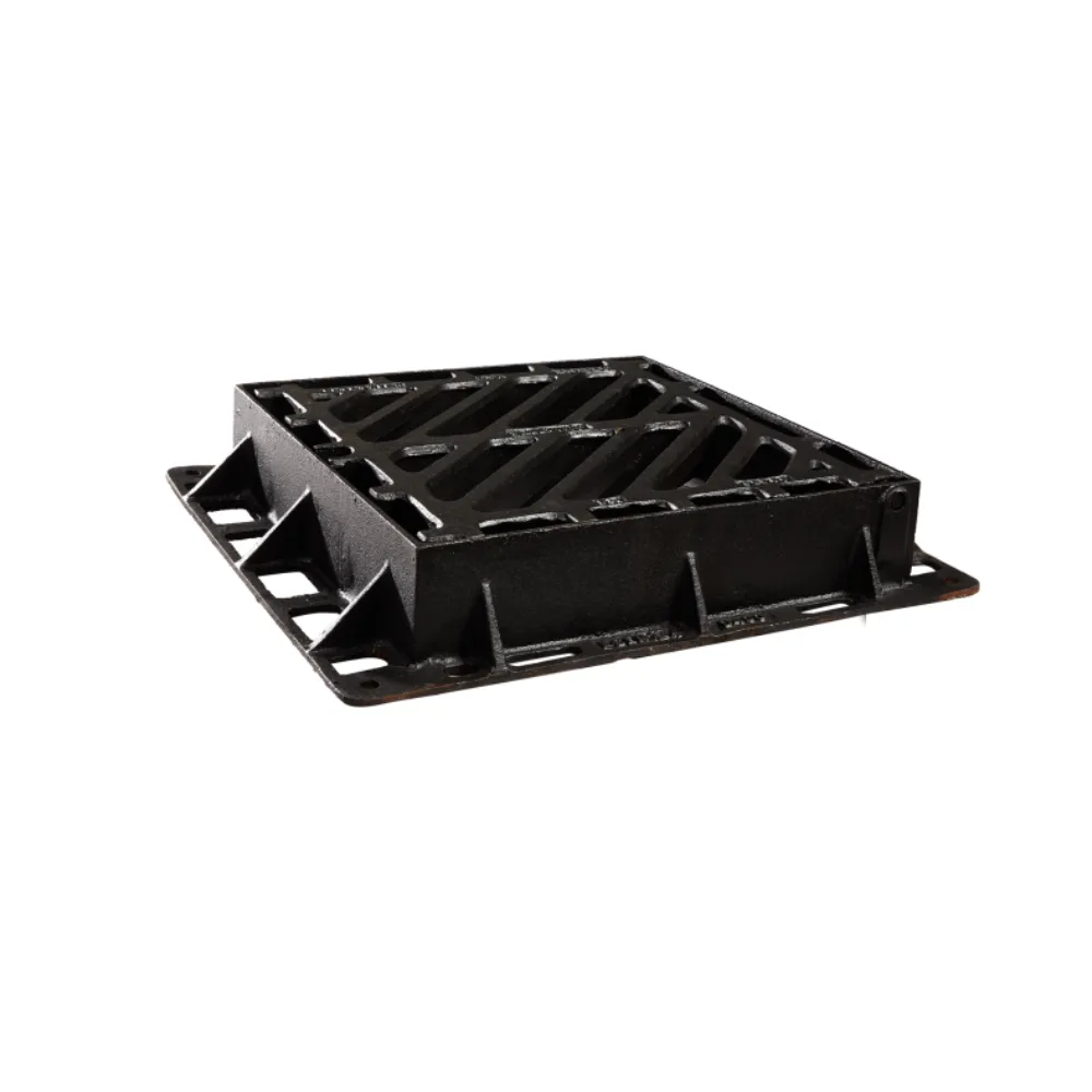 Capac de acces – 2025-03-05T115544.300