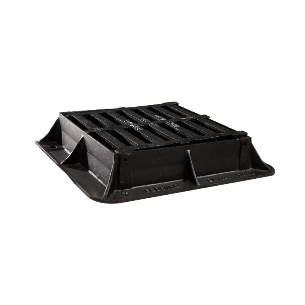 Capac de acces – 2025-03-05T115755.394
