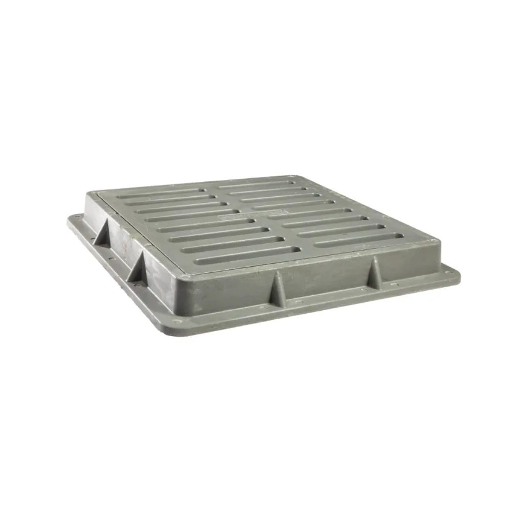 Capac de acces – 2025-03-05T134751.290