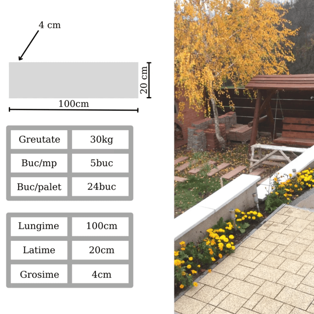 Dale din beton armat 100x20x4cm